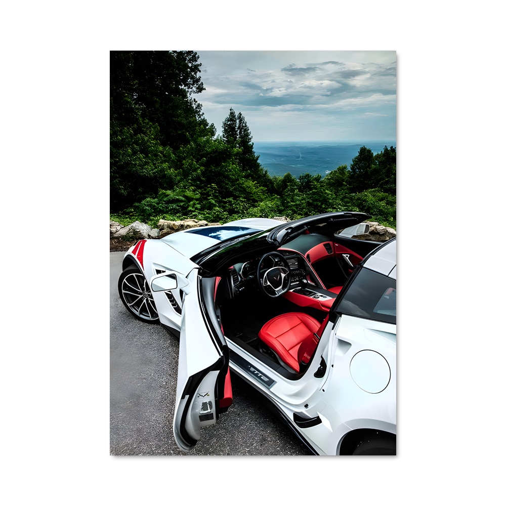 Poster Corvette Récit de Vitesse